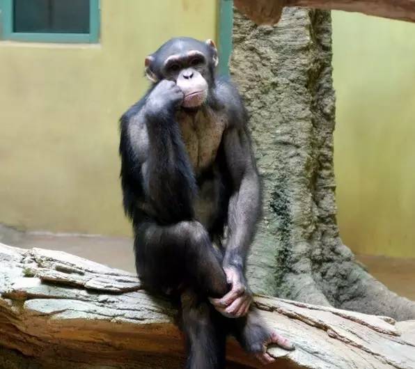 互联网如何改变风投行业?